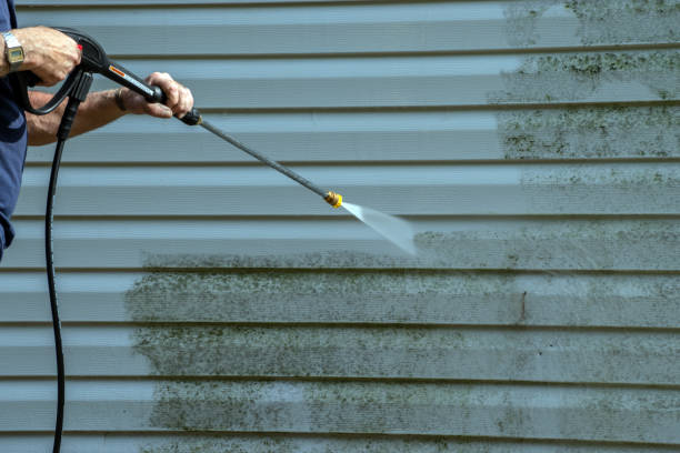 Best Driveway Pressure Washing  in Hamilton, TX